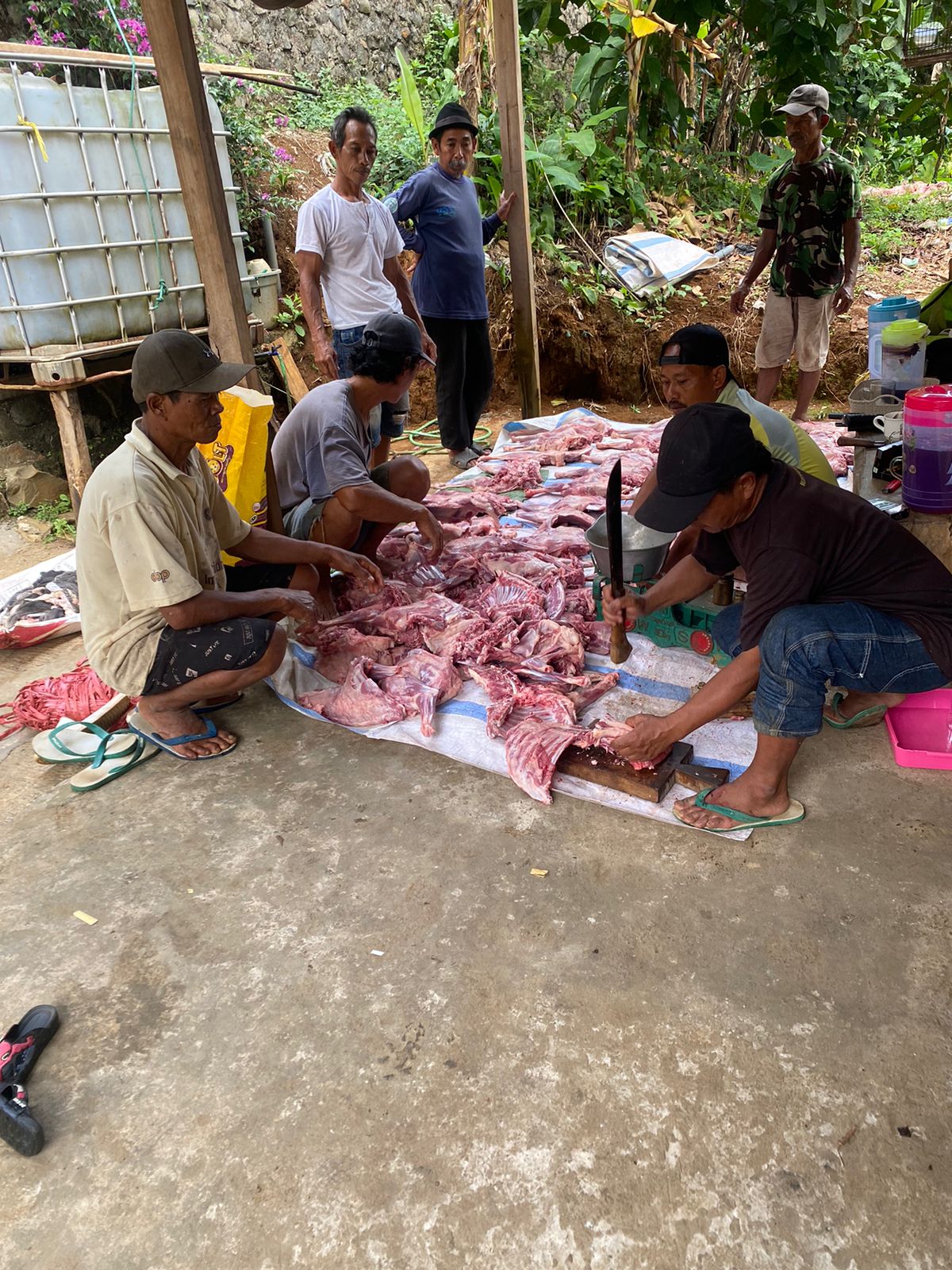 Kegiatan qurban 3